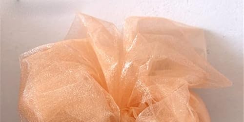 48cmx5m/10m Kristallgarn Tüll Roll reine Hochzeits Hintergrunddekoration Organza Stuhl Stuhl Schärpentisch Rock DIY Supplies-Champagne, 10m 48cmx5m/10m Kristallgarn Tüll Roll reine Hochzeits Hintergrunddekoration Organza Stuhl Stuhl Schärpentisch Rock DIY Supplies-Champagne, 10m von LOKAXXZU