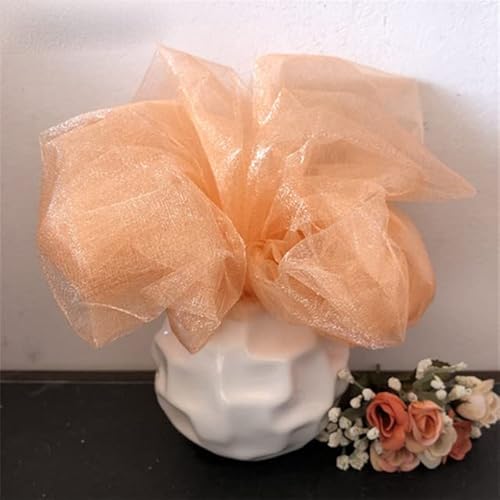 5m 10m Tüll Rollkristall Stoff Organza Tüll Roll Spool Hochzeit Dekoration Geburtstagsfeier Babyparty Weihnachtsdekoration Champagne, 48 cm x 10m 5m 10m Tüll Rollkristall Stoff Organza Tüll Roll Spool Hochzeit Dekoration Geburtstagsfeier Babyparty Weihnachtsdekoration Champagne, 48 cm x 10m von LOKAXXZU