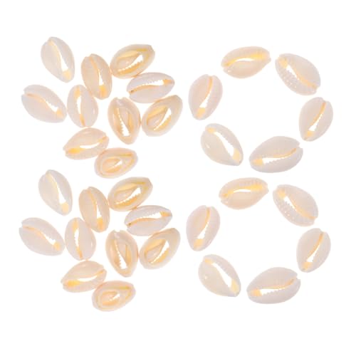 LOLIPPYY 100 Stück Löcher Naturprojekte Armbandperlen Muschel Hängende Meeres Hawaii Anhänger Handwerk Schmuck Kleine Anhänger Heimloch Haar Charms Charm Süße Muscheln LOLIPPYY 100 Stück Löcher Naturprojekte Armbandperlen Muschel Hängende Meeres Hawaii Anhänger Handwerk Schmuck Kleine Anhänger Heimloch Haar Charms Charm Süße Muscheln von LOLIPPYY