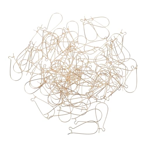 LOLIPPYY 100Stücke Ohrring Haken für DIY Schmuckherstellung Glatte Oberfläche Leicht und Langlebig für Handgemachte Ohrringe Projekte und Individuellen LOLIPPYY 100Stücke Ohrring Haken für DIY Schmuckherstellung Glatte Oberfläche Leicht und Langlebig für Handgemachte Ohrringe Projekte und Individuellen von LOLIPPYY