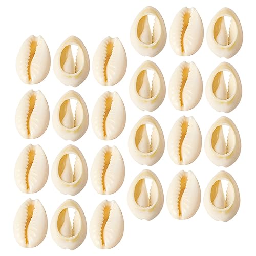 LOLIPPYY 150 Stück Natürliche Muschel dekorationen DIY Bastelmaterial für Schmuckherstellung Sichere Handmade Craft Shells für Armbänder Anhänger Kreative DIY Projekte LOLIPPYY 150 Stück Natürliche Muschel dekorationen DIY Bastelmaterial für Schmuckherstellung Sichere Handmade Craft Shells für Armbänder Anhänger Kreative DIY Projekte von LOLIPPYY