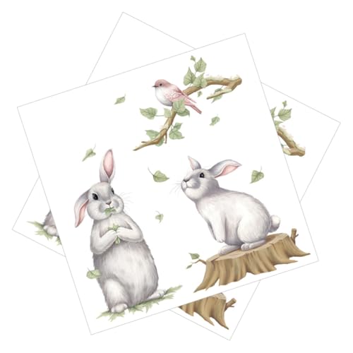LOLIPPYY 2 Blätter Teiliges Wandtattoo mit Abziehbaren Selbstklebenden Hasen Vogelmotiven Dekorative Pvc wandsticker für Kinderzimmer und Schlafzimmer Langlebig Farbintensiv und Einfach zu von LOLIPPYY