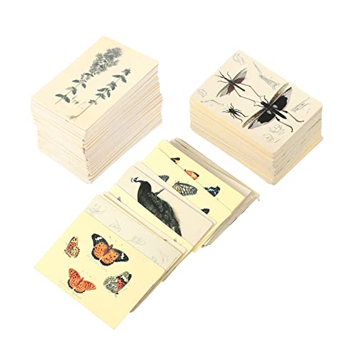 LOLIPPYY 2 Packungen Retro Mini Notizkarten Vintage Memo Karten für Collagen Umweltfreundliches Material Leicht und Tragbar LOLIPPYY 2 Packungen Retro Mini Notizkarten Vintage Memo Karten für Collagen Umweltfreundliches Material Leicht und Tragbar von LOLIPPYY