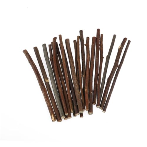 LOLIPPYY 20 Stück Lange Holzstäbchen für Diy Bastelprojekte Natürliche Holzfarbe für Fotorequisiten Dekorationen und Handarbeiten LOLIPPYY 20 Stück Lange Holzstäbchen für Diy Bastelprojekte Natürliche Holzfarbe für Fotorequisiten Dekorationen und Handarbeiten von LOLIPPYY