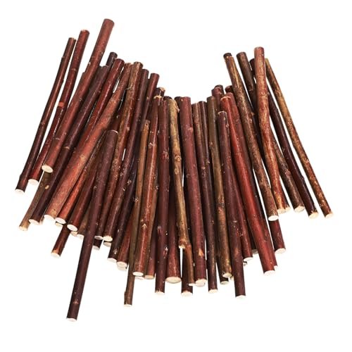 LOLIPPYY 50 Stück Bastelhölzer Naturholz DIY Zweige für Basteln Lange Holzstäbchen für Schmuck Dekoration und Handarbeiten Natürliche Form und Struktur Sicher der Anwendung LOLIPPYY 50 Stück Bastelhölzer Naturholz DIY Zweige für Basteln Lange Holzstäbchen für Schmuck Dekoration und Handarbeiten Natürliche Form und Struktur Sicher der Anwendung von LOLIPPYY