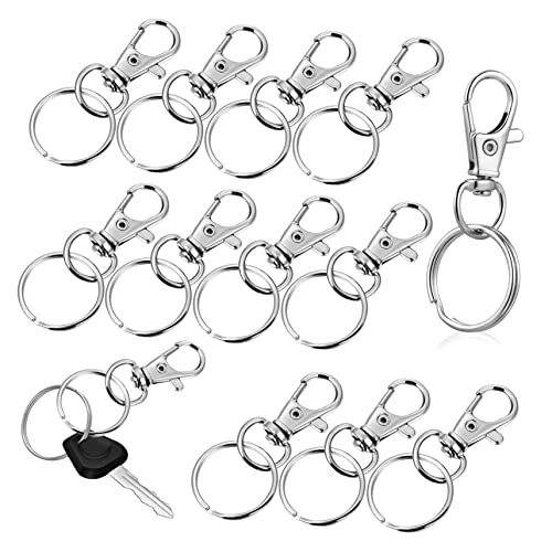 LOLIPPYY 60 Sätze Teiliges Schlüsselanhänger Clips mit Drehhaken aus Robustem Schlüsselringe Vielseitig für Schlüsselbunde Lanyards Handtaschen Hundehalsbänder und Bastelprojekte von LOLIPPYY