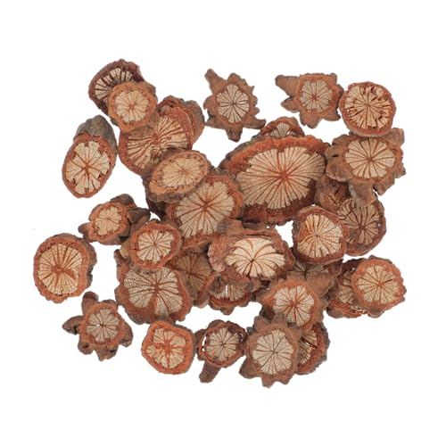 LOLIPPYY Vintage Holzchips Natural Desktop Dekoration DIY Bastelmaterial für Rustikale Kränze Tischdeko Garten Schlafzimmer Wohnzimmer Kreative Handwerksverzierung LOLIPPYY Vintage Holzchips Natural Desktop Dekoration DIY Bastelmaterial für Rustikale Kränze Tischdeko Garten Schlafzimmer Wohnzimmer Kreative Handwerksverzierung von LOLIPPYY