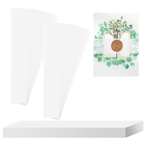 LOLPALONE Transparentes Einladungsband für 12,7 x 17,8 cm Einladungen, Pergament-Bauchband, 31 x 4 cm, transparent-, für Hochzeitseinladungen, Geschenkpapier, Bauch, 150 Stück LOLPALONE Transparentes Einladungsband für 12,7 x 17,8 cm Einladungen, Pergament-Bauchband, 31 x 4 cm, transparent-, für Hochzeitseinladungen, Geschenkpapier, Bauch, 150 Stück von LOLPALONE