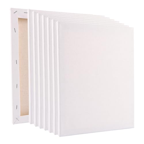 LOLYSIC 8 Stück Leinwand Set - Leinwand zum bemalen, 24x30cm - weiß vorgrundiert, 100% Baumwolle Künstler Leinwand Keilrahmen für Acryl- und Ölgemälde LOLYSIC 8 Stück Leinwand Set - Leinwand zum bemalen, 24x30cm - weiß vorgrundiert, 100% Baumwolle Künstler Leinwand Keilrahmen für Acryl- und Ölgemälde von LOLYSIC