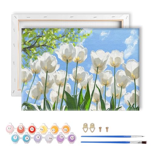 LOMSIOY Rahmen Malen nach Zahlen Kit für Erwachsene, DIY Tulpen Ölmalerei mit Pinseln, Haken - Blume Gerahmte Kunst-Kits für Anfänger - geeignet für Schlafzimmer, Tür Dekoration (8x12 inch) von LOMSIOY