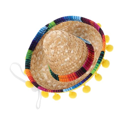 LOORGVEL Mini Mexikanischer Sombrero Partyhut Handgefertigt Bunte Mexikanische Fiesta Kostümaccessoires Für Frauen Haustiere Für Karneval Geburtstagsfeier von LOORGVEL