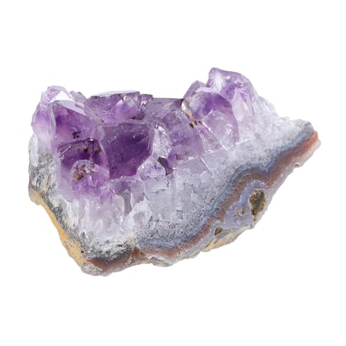 LOORGVEL Natürlicher Amethyst Kristallcluster Unbehandelte Edelstein Dekoration für Schreibtisch Aquarium Gartendeko Feng Shui Natürlicher Schmuckstein LOORGVEL Natürlicher Amethyst Kristallcluster Unbehandelte Edelstein Dekoration für Schreibtisch Aquarium Gartendeko Feng Shui Natürlicher Schmuckstein von LOORGVEL