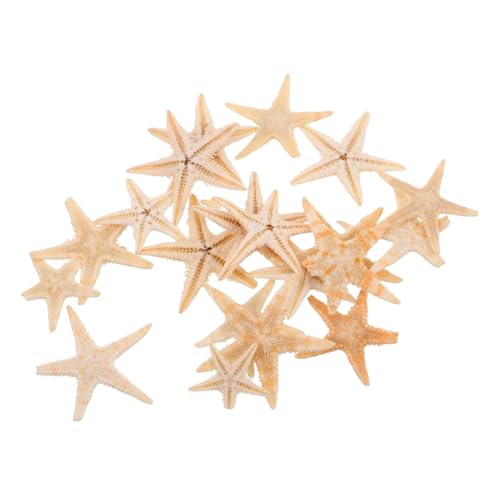 LOPUNER 20 Stück Natürliche Seesterne für Kerzenherstellung DIY Strand Dekoration Mini Seestern Figuren für Aromatherapie und Epoxidharz Dekorationen Perfektes Zubehör für Hochzeiten und LOPUNER 20 Stück Natürliche Seesterne für Kerzenherstellung DIY Strand Dekoration Mini Seestern Figuren für Aromatherapie und Epoxidharz Dekorationen Perfektes Zubehör für Hochzeiten und von LOPUNER