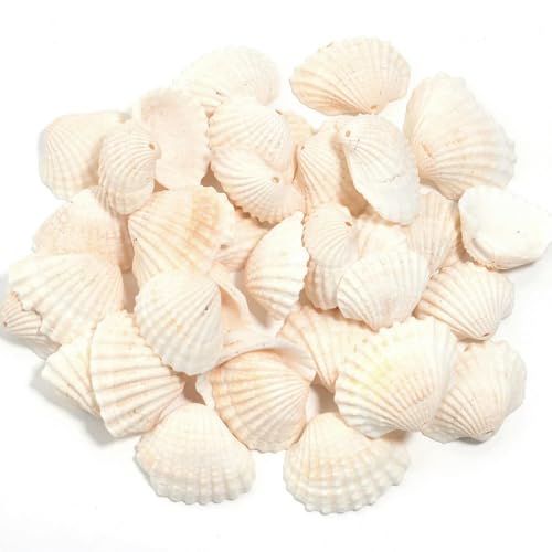 LOUKEKE 30/40/50g Seeblumen-Schneckenhaus-Perlen, lose Abstandsperlen, DIY-Schmuck, Armband, Anhänger, Telefon, Schlüssel, Tasche, Kette, Zubehör von LOUKEKE