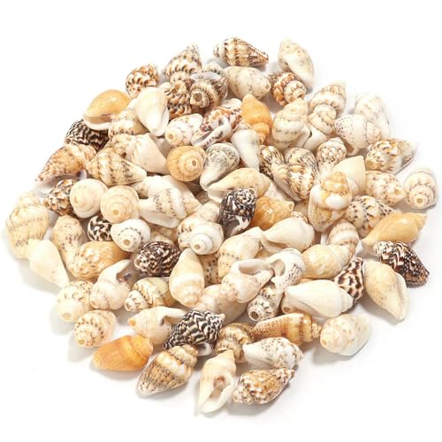 LOUKEKE 30 gr/los Blume Schnecke Shell Perlen Lose Spacer Perlen DIY Schmuck Armband Anhänger Phoen Schlüssel Tasche Auto Kette Zubehör von LOUKEKE