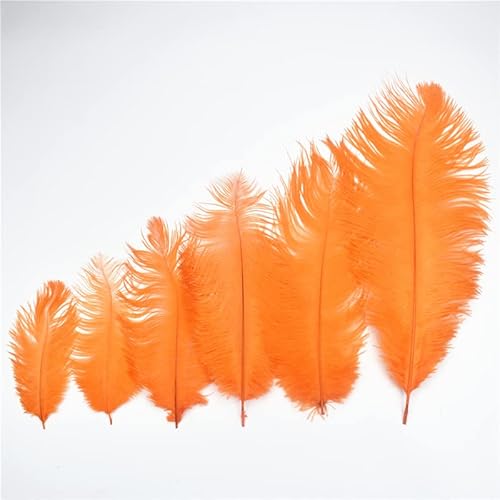 Orange Straußenfedern zum Basteln 15-70cm/6-28quot; Lange Straußenfeder Dekoration Zuhause Hochzeit Zubehör Plume DIY-20-25cm Kleine Stange, 10 Stk von LOVEAASAN