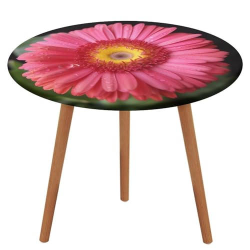 LPAGBCNU Runde Tischdecke, elastisch, wasserdicht, Blumen-Gerbera-Tischdecke, wasserdicht und schmutzabweisend, geeignet für Picknick-Partys im Innen- und Außenbereich, Durchmesser: 100 cm von LPAGBCNU