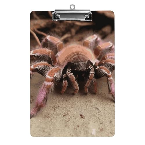 Großes mexikanisches Vogelspinnen-Klemmbrett, A4-Größe, Acryl-Klemmbrett, dekorative Standard-Klemmbretter mit Edelstahl-Aufhängeloch, tragbarer Dokumenten-Organizer für Bürobedarf, Heimgebrauch von LPSADGF
