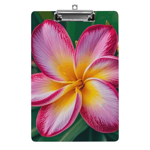 Hawaiianisches buntes Blumen-Klemmbrett, A4-Größe, Acryl-Klemmbrett, dekorative Standard-Klemmbretter mit Edelstahl-Aufhängeloch, tragbarer Dokumenten-Organizer für Bürobedarf, Heimgebrauch von LPSADGF