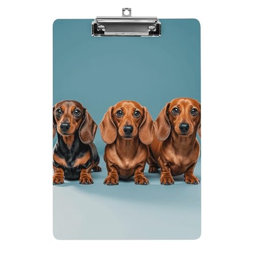 Klemmbrett mit drei Dackeln, A4-Größe, Acryl-Klemmbrett, dekorative Standard-Klemmbretter mit Edelstahl-Aufhängeloch, tragbarer Dokumenten-Organizer für Bürobedarf, Heimgebrauch von LPSADGF