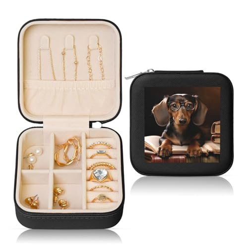 LPSRTWE Schmuckschatullen für Damen und Mädchen, quadratisch, Schmuck-Organizer, Dackel, Buch, Leder, Schmuck-Aufbewahrungsbox, tragbar, Reise-Schmuckkoffer mit Reißverschluss für Halskette, Ohrringe von LPSRTWE