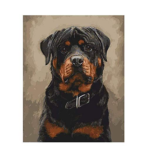 LSDEERE DIY Vorgedruckt Leinwand Ölgemälde Geschenk Für Erwachsene Kinder Malen Nach Zahlen Kits Home Haus Dekor Rottweiler Hund 40 * 50 cm LSDEERE DIY Vorgedruckt Leinwand Ölgemälde Geschenk Für Erwachsene Kinder Malen Nach Zahlen Kits Home Haus Dekor Rottweiler Hund 40 * 50 cm von LSDEERE