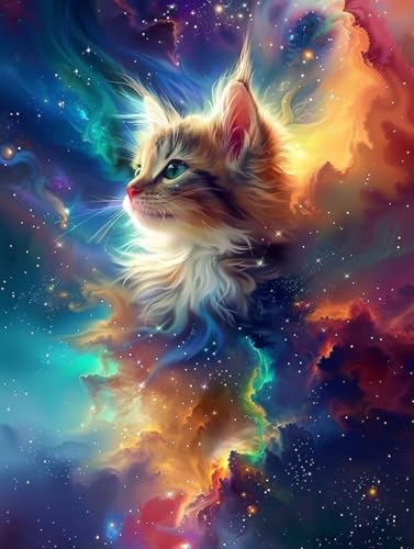 Diamond Painting Erwachsene Katze, Diamond Painting bilder Sternenhimmel, Diy Mosaikherstellung Bastelset Erwachsene, Full Drill Stickerei Kreuzstich Sets für Zimmer Deko, Geschenke 30x40 cm 7-8323 von LSPKKYOU