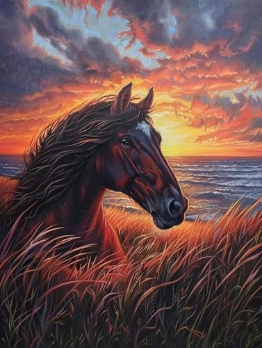 Diamond Painting Pferd, 5D Diamond Painting Erwachsene Sonnenuntergang, DIY Stickerei Kreuzstich Sets, Full Drill Diamant Bastelset Erwachsene, Mosaikherstellung, für Zimmer Deko, 40X50 cm Z-2904 von LSPKKYOU
