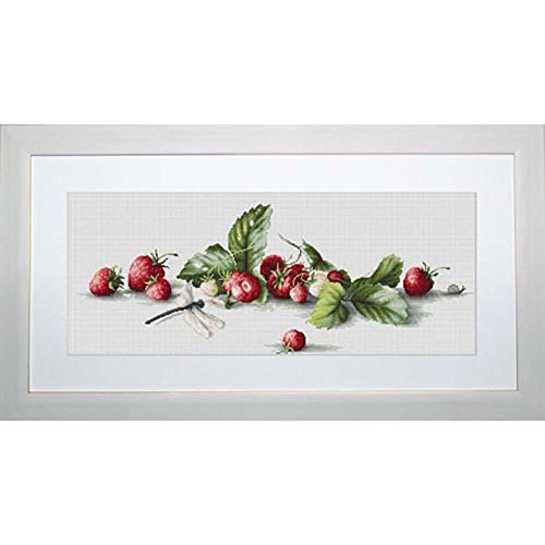 Luca-S Etüde mit Erdbeeren und Libelle Aida Kreuzstichset, Baumwolle, Mehrfarbig, 49,5x18,5cm Luca-S Etüde mit Erdbeeren und Libelle Aida Kreuzstichset, Baumwolle, Mehrfarbig, 49,5x18,5cm von LUCAS