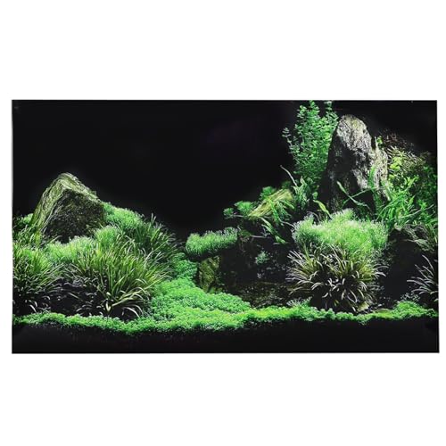 LUCKDANO Aquarienhintergrund, Aquariumhintergrund Fischhintergrund mit Hochwertigem Wasserdichtem Material und Herausragenden Farben PVC für Aquariumdekoration (61 * 30CM) von LUCKDANO
