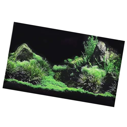 LUCKDANO Aquarienhintergrund, Aquariumhintergrund Fischhintergrund mit Hochwertigem Wasserdichtem Material und Herausragenden Farben PVC für Aquariumdekoration (61 * 40cm) von LUCKDANO