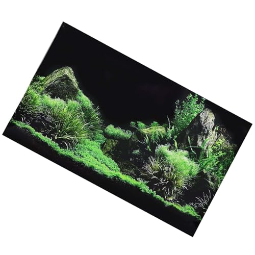LUCKDANO Aquarienhintergrund, Aquariumhintergrund Fischhintergrund mit Hochwertigem Wasserdichtem Material und Herausragenden Farben PVC für Aquariumdekoration (76 * 46cm) von LUCKDANO