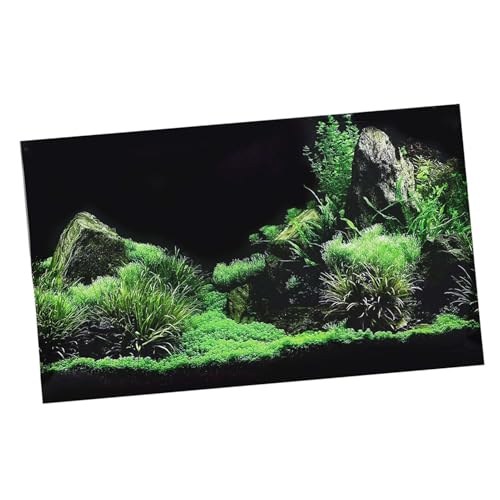 LUCKDANO Aquarienhintergrund, Aquariumhintergrund Fischhintergrund mit Hochwertigem Wasserdichtem Material und Herausragenden Farben PVC für Aquariumdekoration (91 * 50CM) von LUCKDANO