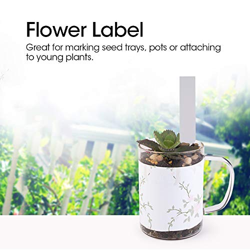 LUCKDANO Pflanzen -Tags, Pflanzenetiketten für Sämlinge Gartenetiketten Im Freien Wasserdicht Kindergarten -Pfahl Tags 100 PCs 10 * 2 Cm für Topfpflanzen (WHITE) von LUCKDANO