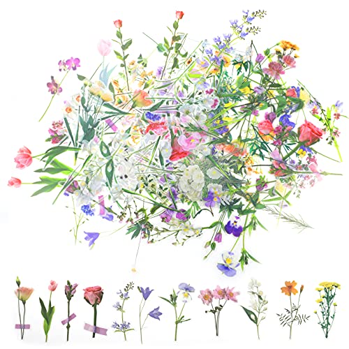 160 Stück Blumen PET Dekorations Aufkleber, Scrapbooking Vintage Aquarell Aufkleber, Transparente Pflanze Aufkleber, Scrapbook Zubehör für DIY Fotoalben, Tagebuch, Notizbuch, Kalender, Briefumschläge 160 Stück Blumen PET Dekorations Aufkleber, Scrapbooking Vintage Aquarell Aufkleber, Transparente Pflanze Aufkleber, Scrapbook Zubehör für DIY Fotoalben, Tagebuch, Notizbuch, Kalender, Briefumschläge von LUCKNIGHT
