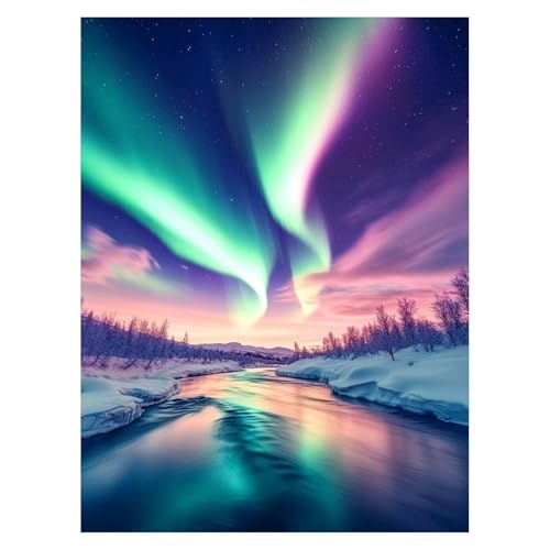 Aurora Malen Nach Zahlen Erwachsene, Malen Nach Zahlen auf Leinwand mit Pinsel und Acrylfarben 70x50CM DIY Basteln Erwachsene Leinwand Bilder Winter für Wanddeko Wohnzimmer und Geschenke LSJ-6986 von LUESSJAO