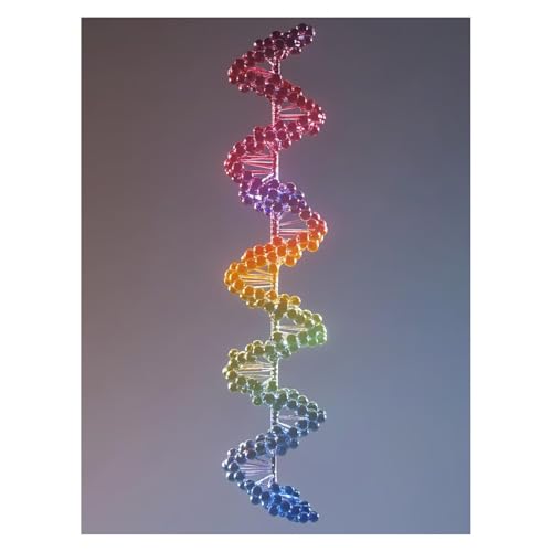DNA Malen Nach Zahlen Erwachsene, Malen Nach Zahlen auf Leinwand mit Pinsel und Acrylfarben 55 x 40 CM DIY Basteln Erwachsene Leinwand Bilder Chromosom für Deko Wohnzimmer Geschenke für Frauen LSJ1606 DNA Malen Nach Zahlen Erwachsene, Malen Nach Zahlen auf Leinwand mit Pinsel und Acrylfarben 55 x 40 CM DIY Basteln Erwachsene Leinwand Bilder Chromosom für Deko Wohnzimmer Geschenke für Frauen LSJ1606 von LUESSJAO