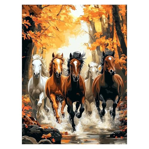 Horse Malen Nach Zahlen Erwachsene, Malen Nach Zahlen auf Leinwand mit Pinsel und Acrylfarben 70x50 Cm DIY Basteln Erwachsene Leinwand Bilder Tier für Wanddeko Wohnzimmer Geschenke für Frauen LSJ-2517 von LUESSJAO