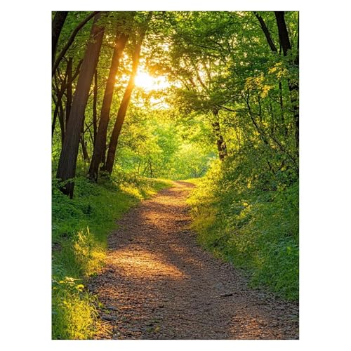 Malen Nach Zahlen Erwachsene Baum Malen Nach Zahlen Kinder Landschaft mit Pinsel und Wasserdicht Leinwand Acrylfarben Set, Diy Set Erwachsene Bilder 100x135cm Zimmer Deko Geschenke für Frauen LSJ-4543 von LUESSJAO