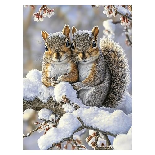 Malen Nach Zahlen Erwachsene Eichhörnchen Malen Nach Zahlen Kinder Winter mit Pinsel und Wasserdicht Leinwand Acrylfarben Set, Diy Set Erwachsene Bilder 30 x 40CM für Deko Wohnzimmer Geschenke LSJ6986 von LUESSJAO