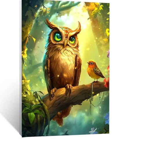 Malen Nach Zahlen Erwachsene Eule Malen Nach Zahlen Kinder Vogel mit Pinsel und Wasserdicht Leinwand Acrylfarben Set, Diy Set Erwachsene Bilder 40x30 cm für Zimmer Deko Geschenke für Frauen LSJ-4094 Malen Nach Zahlen Erwachsene Eule Malen Nach Zahlen Kinder Vogel mit Pinsel und Wasserdicht Leinwand Acrylfarben Set, Diy Set Erwachsene Bilder 40x30 cm für Zimmer Deko Geschenke für Frauen LSJ-4094 von LUESSJAO
