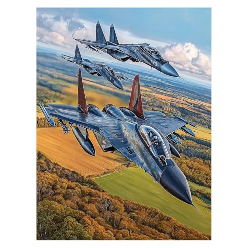 Malen Nach Zahlen Erwachsene Kämpfer Malen Nach Zahlen Kinder Flugzeug mit Pinsel und Wasserdicht Leinwand Acrylfarben Set, Diy Set Erwachsene Bilder 50 x 70 cm für Deko Wohnzimmer Geschenke LSJ-6986 von LUESSJAO