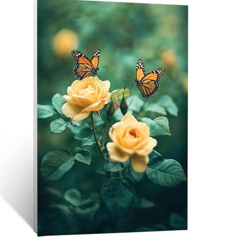 Malen Nach Zahlen Erwachsene Schmetterling Malen Nach Zahlen Kinder Blume mit Pinsel und Wasserdicht Leinwand Acrylfarben Set, Diy Set Erwachsene Bilder 35x50cm für Zimmer Deko Geschenke LSJ-1147 Malen Nach Zahlen Erwachsene Schmetterling Malen Nach Zahlen Kinder Blume mit Pinsel und Wasserdicht Leinwand Acrylfarben Set, Diy Set Erwachsene Bilder 35x50cm für Zimmer Deko Geschenke LSJ-1147 von LUESSJAO