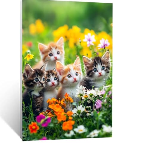 Malen Nach Zahlen Erwachsene Tier Malen Nach Zahlen Kinder Katze mit Pinsel und Wasserdicht Leinwand Acrylfarben Set, Diy Set Erwachsene Bilder 120x90 cm für Zimmer Deko Geschenke für Frauen LSJ-1241 Malen Nach Zahlen Erwachsene Tier Malen Nach Zahlen Kinder Katze mit Pinsel und Wasserdicht Leinwand Acrylfarben Set, Diy Set Erwachsene Bilder 120x90 cm für Zimmer Deko Geschenke für Frauen LSJ-1241 von LUESSJAO