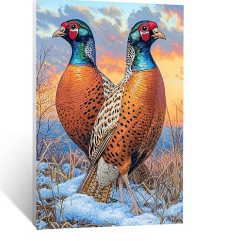 Malen Nach Zahlen Erwachsene Tier Malen Nach Zahlen Kinder Winter mit Pinsel und Wasserdicht Leinwand Acrylfarben Set, Diy Set Erwachsene Bilder 80 x 60cm für Zimmer Deko Geschenke für Frauen LSJ-7376 von LUESSJAO