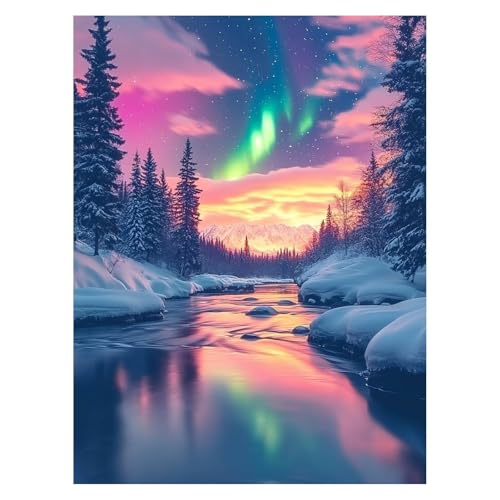 Malen Nach Zahlen Erwachsene Winter Malen Nach Zahlen Kinder Nordlicht mit Pinsel und Wasserdicht Leinwand Acrylfarben Set, Diy Set Erwachsene Bilder 40x55 cm für Deko Wohnzimmer Geschenke LSJ-6986 von LUESSJAO