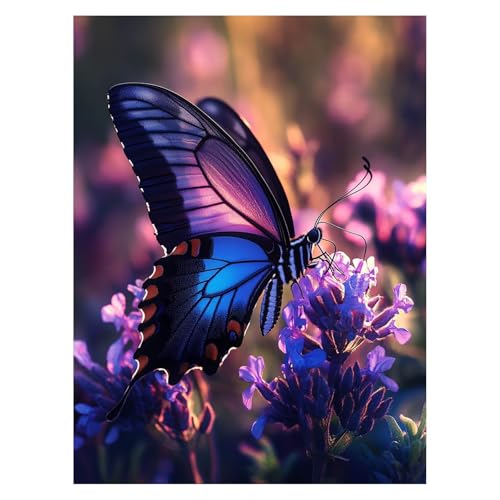 Schmetterling Malen Nach Zahlen Erwachsene, Malen Nach Zahlen auf Leinwand mit Pinsel und Acrylfarben 40 x 30 Cm DIY Basteln Erwachsene Leinwand Bilder Blume für Wanddeko Wohnzimmer Geschenke LSJ-6986 von LUESSJAO