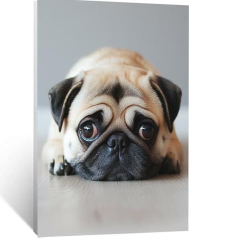 Tier Malen Nach Zahlen Erwachsene, Malen nach Zahlen auf Leinwand mit Pinsel und Acrylfarben 40x30 cm DIY Basteln Erwachsene Leinwand Bilder Hund für Wanddeko Wohnzimmer Geschenke für Frauen LSJ-5667 von LUESSJAO