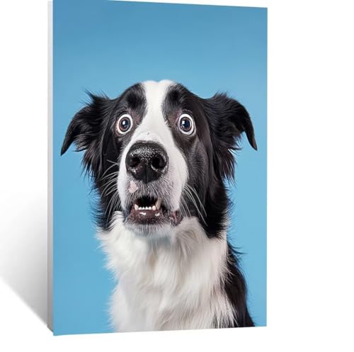 Tier Malen Nach Zahlen Erwachsene, Malen nach Zahlen auf Leinwand mit Pinsel und Acrylfarben 80x110 cm DIY Basteln Erwachsene Leinwand Bilder Hund für Wanddeko Wohnzimmer Geschenke für Frauen LSJ-1031 Tier Malen Nach Zahlen Erwachsene, Malen nach Zahlen auf Leinwand mit Pinsel und Acrylfarben 80x110 cm DIY Basteln Erwachsene Leinwand Bilder Hund für Wanddeko Wohnzimmer Geschenke für Frauen LSJ-1031 von LUESSJAO