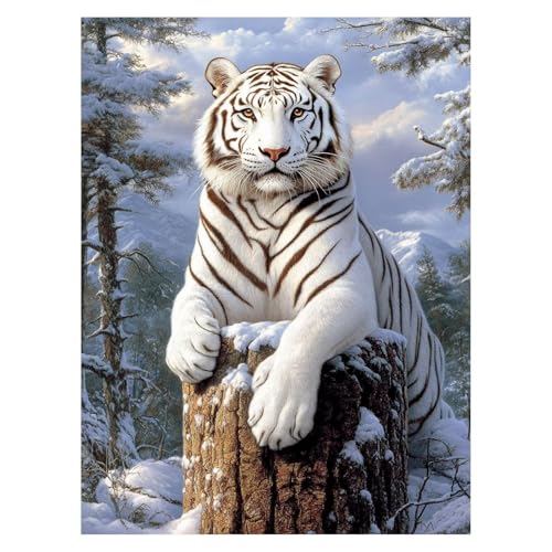 Tiger Malen Nach Zahlen Erwachsene, Malen Nach Zahlen auf Leinwand mit Pinsel und Acrylfarben 55x40Cm DIY Basteln Erwachsene Leinwand Bilder Tier für Wanddeko Wohnzimmer Geschenke für Frauen LSJ-6986 von LUESSJAO